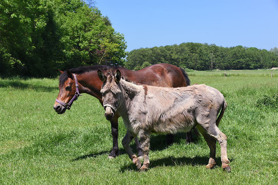 Foto aus der Fotogruppe 