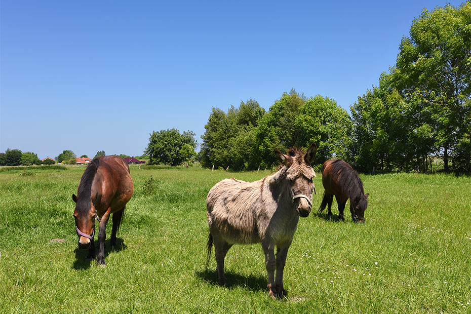 Foto aus der Fotogruppe 