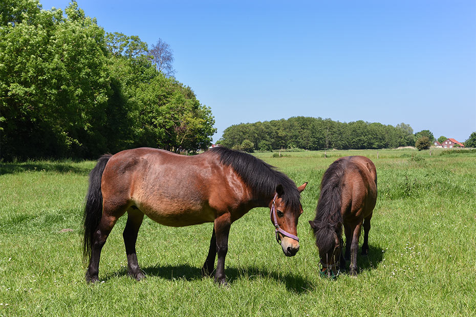 Foto aus der Fotogruppe 
